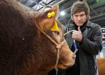 Manchas, Giras y Hasta Un espectáculo para tapar las coimas y la crisis económica | La estrategia Electoral Libertaria se Centra en la Figur de Milei