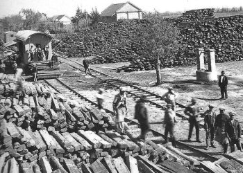 La Forestal y la Devastacia que dura Casi un siglo