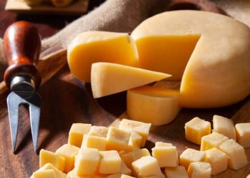 Queso, un aliado Clave en la nutrición de los adultos mayores mayores