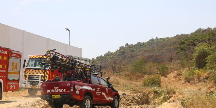 50 Bomberos Tratan de Liquidar Incendio en Zona Alta de Cerro Colorado: Piden apoyo Aéreo | Seguridad | Noticias