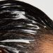 Los 14 mejores champús para el cabello graso, según los dermatólogos