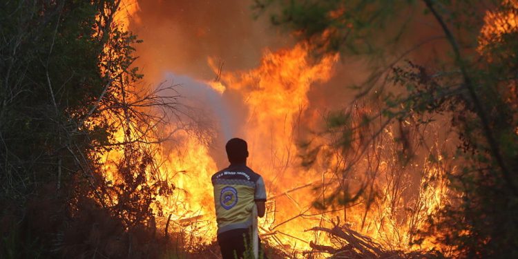 La guerra actual contra la ciencia y quién está detrás de ella