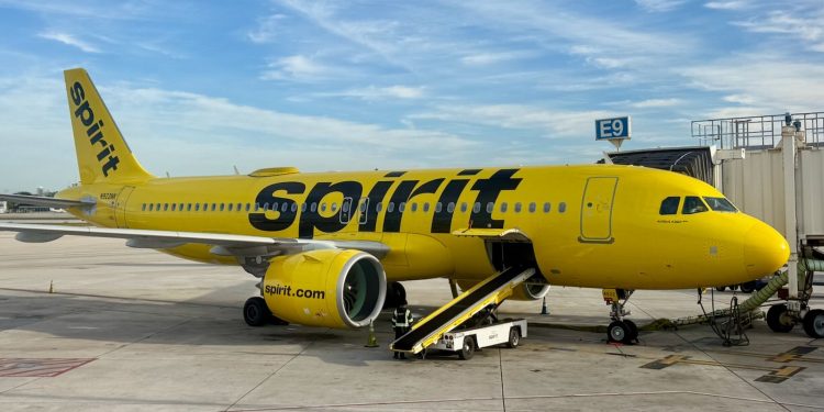 Espíritu que lucha para cortar vuelos en un cuarto en noviembre