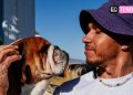 Roscoe, El inseparable Bulldog Vegano que Acompañó A Lewis Hamilton 12 Años