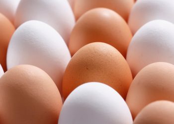 Cuál es la Diferencia Entre Los Huevos de Cáscara Blanca y Los Marrones, Según Expertos