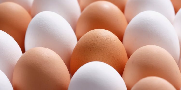 Cuál es la Diferencia Entre Los Huevos de Cáscara Blanca y Los Marrones, Según Expertos