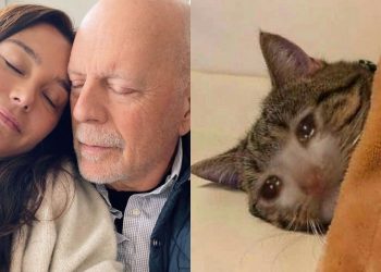 La Esposa de Bruce Willis Reveló la desgarradora Razón para Alejarlo de su familia y si… es imposible sin llorar