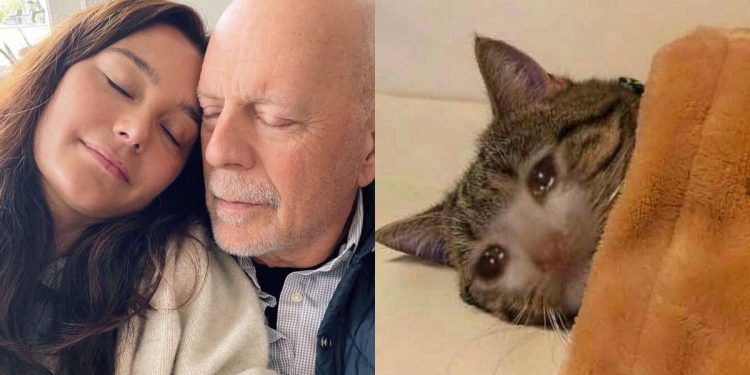La Esposa de Bruce Willis Reveló la desgarradora Razón para Alejarlo de su familia y si… es imposible sin llorar