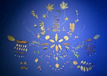 Un jardín caribeño en el medio de Berlín