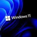 Windows 11 23H2 Home y Pro alcanzan el final del soporte en 60 días