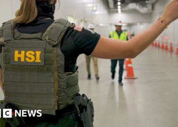 Ice Raid en la planta de Hyundai en Georgia barrió a los trabajadores en visas de visitantes