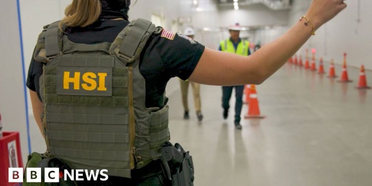 Ice Raid en la planta de Hyundai en Georgia barrió a los trabajadores en visas de visitantes