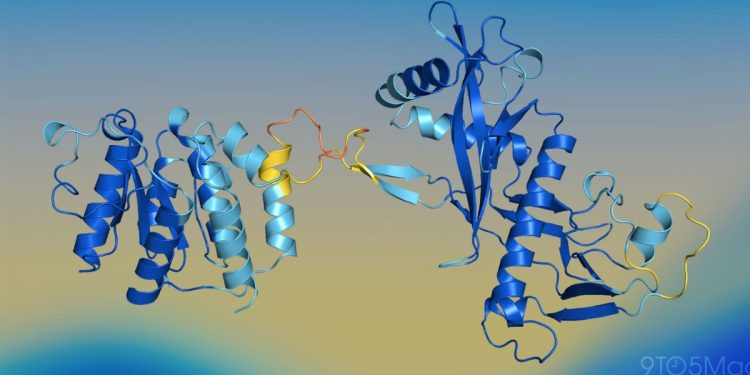 Apple desarrolla una IA ligera para la predicción de plegado de proteínas
