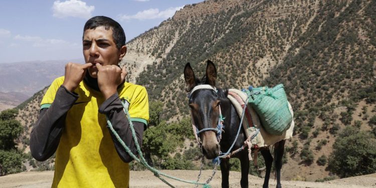 Dans le Haut-Atlas Marocain, La Langue Sifflée Menacée de disparación