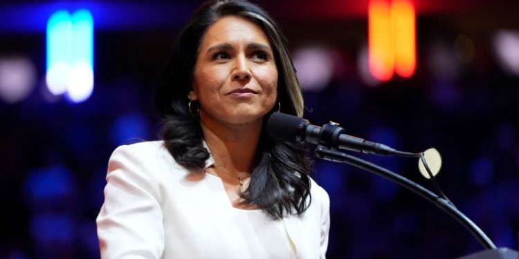 Tulsi Gabbard, Elegida de Trump para Inteligencia, Fue incluida en una lista de vigilancia del gobierno por sus viajes al extranjas y sus conexiones