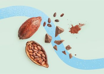 ¿Podrían los suplementos de cacao combatir la enfermedad cardíaca y promover la longevidad?