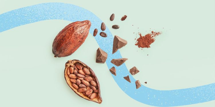 ¿Podrían los suplementos de cacao combatir la enfermedad cardíaca y promover la longevidad?