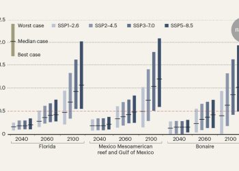 Los arrecifes de coral del Caribe están amenazados por el aumento de los mares