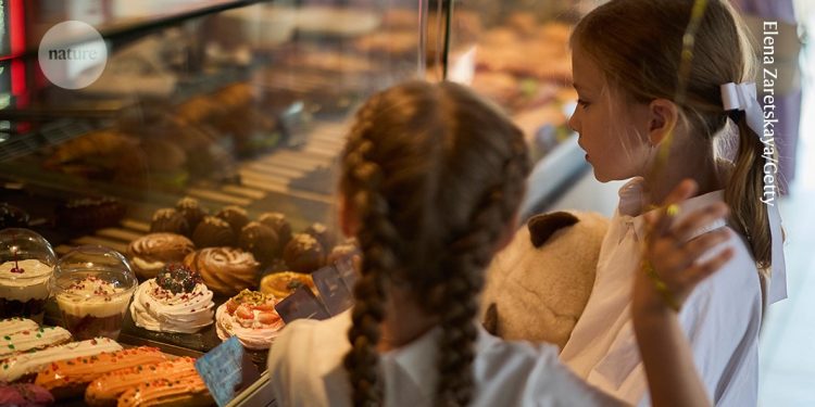 Alimentos ultra procesados: es hora de una definición mejorada