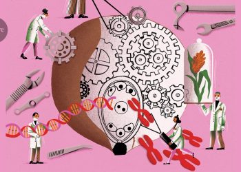 Cómo los cultivos autocubiertos podrían transformar pronto nuestra comida