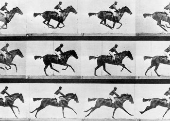 Claridad o precisión: ¿qué hace una buena imagen científica?