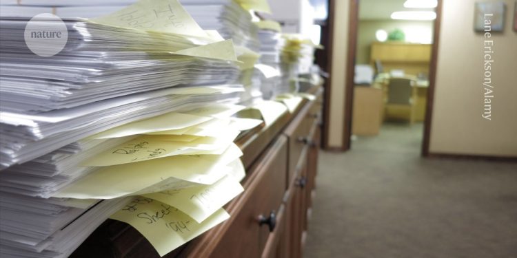 ¿La fábrica de papel más grande de Europa? 1.500 artículos de investigación vinculados a la red ucraniana