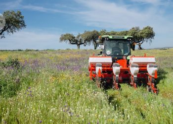 Una revolución está barriendo las granjas de Europa: ¿puede salvar la agricultura?