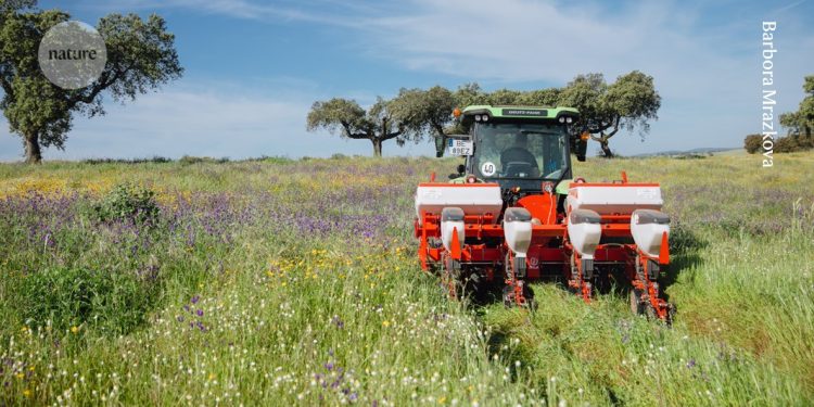 Una revolución está barriendo las granjas de Europa: ¿puede salvar la agricultura?