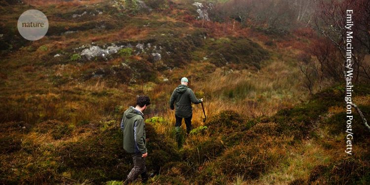 Cómo volver a construir la naturaleza: lea este manual
