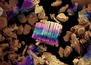 Los químicos cramos registran nueve metales en material 2D moderno