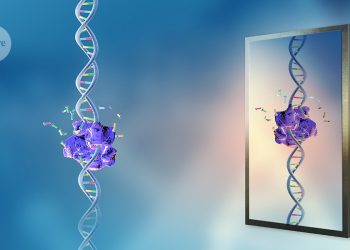 ¿Cómo debería restringirse la investigación de 'reflejar la vida'? El debate se calienta