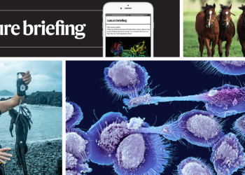 El valor de un polo-equipo de caballos crispr clonados