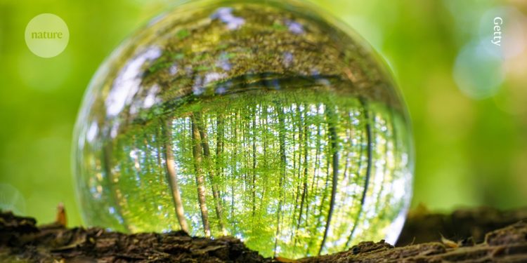 ¿Debería detenerse la investigación sobre la biología molecular de la imagen espejo?