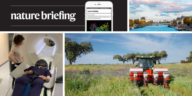 La revolución regenerativa apunta a la agricultura europea a prueba de futuro