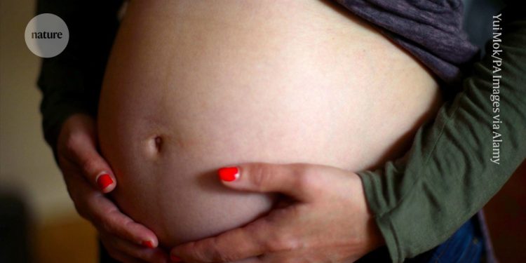 Diabetes gestacional vinculada al autismo en el estudio: lo que dicen los científicos