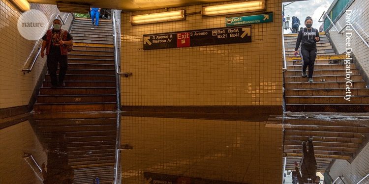 Combatir el cambio climático requiere más que datos: necesita asombro, amor y esperanza