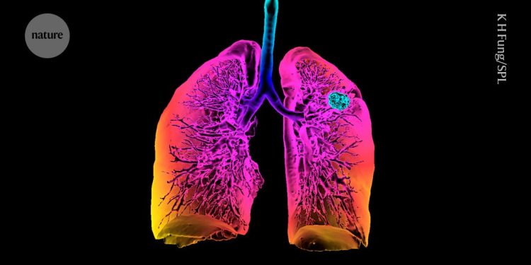 El aprendizaje automático revela posibles consecuencias de los recortes para la investigación de los Estados Unidos.