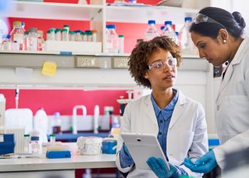 ¿Quieres hacer ciencia disruptiva? Incluir más investigadores de novatos