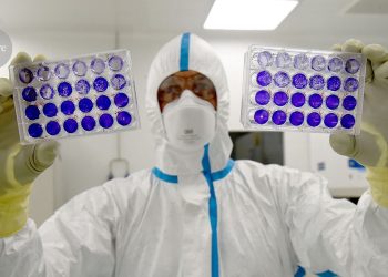 La confianza pública en la ciencia ha disminuido desde Covid: los virólogos deben unirse en torno a los estándares de seguridad