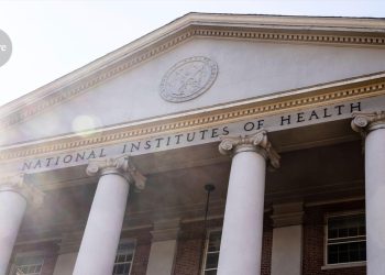 Las carreras de NIH para gastar su dinero de subvención 2025, pero menos proyectos ganan fondos