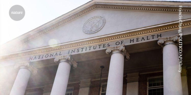 Las carreras de NIH para gastar su dinero de subvención 2025, pero menos proyectos ganan fondos