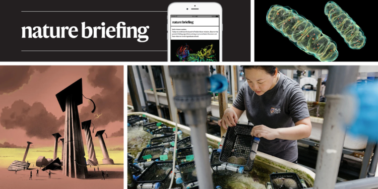 Las universidades hicieron el mundo moderno, ahora deben sobrevivir