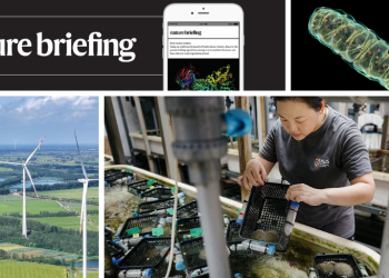 Los investigadores novatos aumentan la ciencia disruptiva