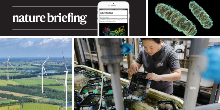 Los investigadores novatos aumentan la ciencia disruptiva