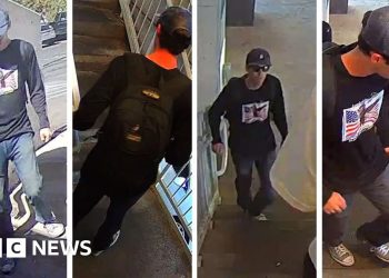 Lo que sabemos sobre el disparo fatal de la activista conservadora estadounidense