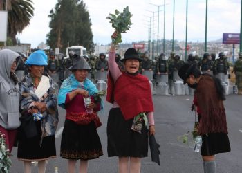 Paro nacional deja varios detenidos en su Primer Día, Afirma Ministro del Interior