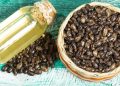 ¿El aceite de ricino es seguro y efectivo?
