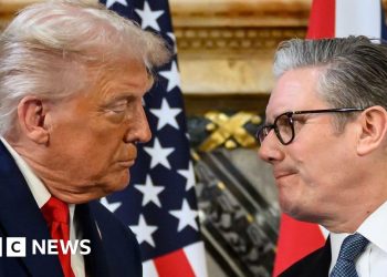 El ministro rechaza el llamado de Trump para que los militares aborden la migración ilegal.