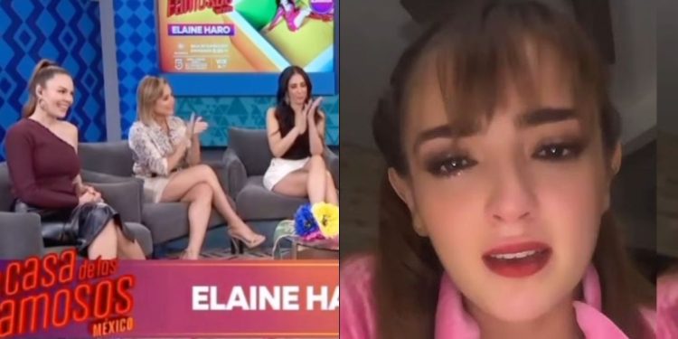 ¡Con la niña, no! En Programa en Vivo, Famosas Directoras se Burlan Cruelme del Físico Elaine Haro