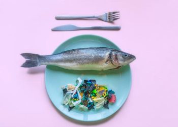 ¿Quiere evitar los microplásticos en los alimentos? Encontramos los 8 alimentos más comunes que contienen microplásticos.